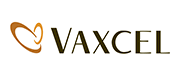 Vaxcel Lighting | Southfork Lighting