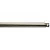 18 Inch Down Rod Length - Brushed Stainless Steel Finish